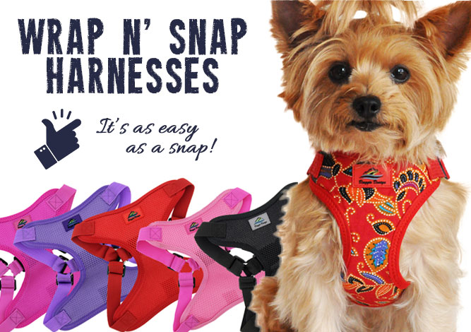 Doggie Design - Boutique Dog Clothes Designer & Wholesale Sales