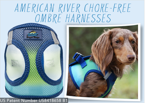 Doggie Design American River Choke Free Ombre Harnesses