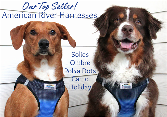 Doggie Design Top Selling American River Harness Collection