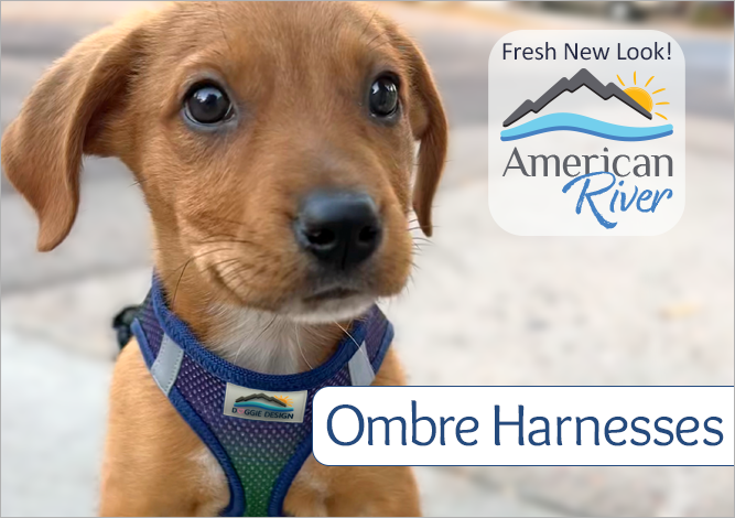 Doggie Design American River Ombre Harnesses