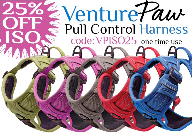 Venture Paw Pull Control Dog Harness