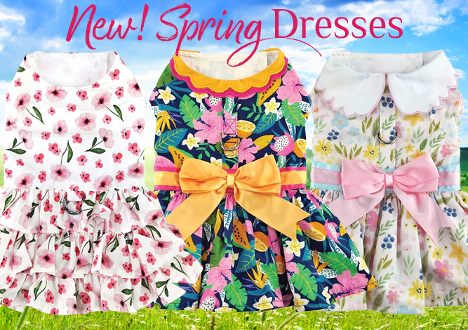 Doggie Design New Spring Dresses