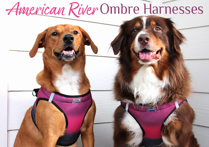 Doggie Design American River Ombre Harnesses