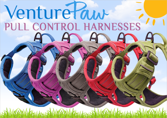 Doggie Design Venture Paw Pull Control Harnesses