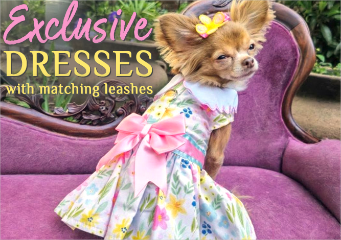 Doggie Design Dresses