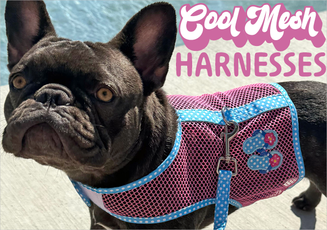 Doggie Design Cool Mesh Harnesses