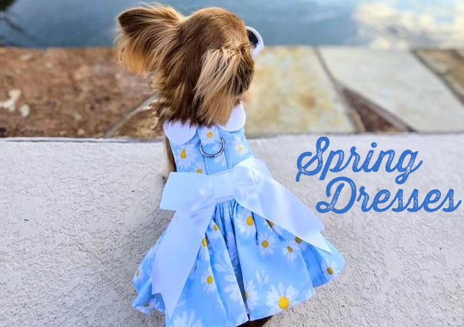 Doggie Design Dresses