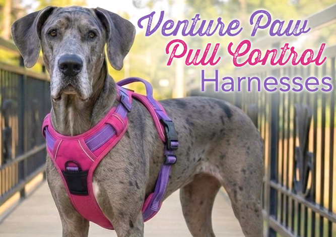 Doggie Design Venture Paw Pull Control Harnesses