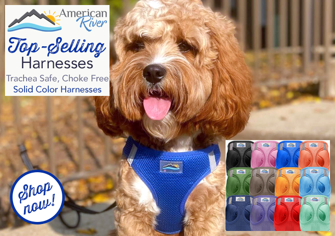 Doggie Design American River Solid Harnesses