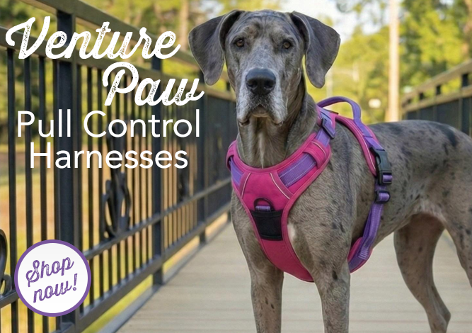 Doggie Design Venture Paw Pull Control Harnesses